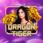 Dragon Tiger Dairy Queen game
