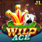 Wild Ace Dairy Queen game